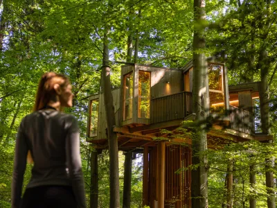 Drevesna hiša v Celju z aprilom ponovno odprta za obiskovalce. F Rok deželak