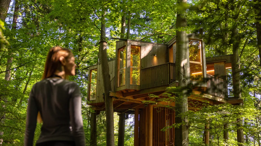 Drevesna hiša v Celju z aprilom ponovno odprta za obiskovalce. F Rok deželak