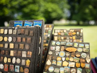 Domžale bolj&scaron;ak