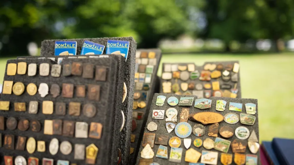 Domžale bolj&scaron;ak