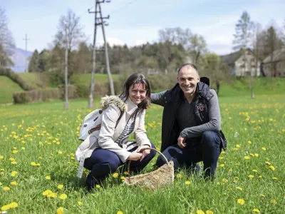 - 05. 04. 2024 - Andreja in Luka Kristanc – nabiranje divjih rastlin- fitofarmacija- združenje zeliščarskih kmetij  //FOTO: Jaka Gasar