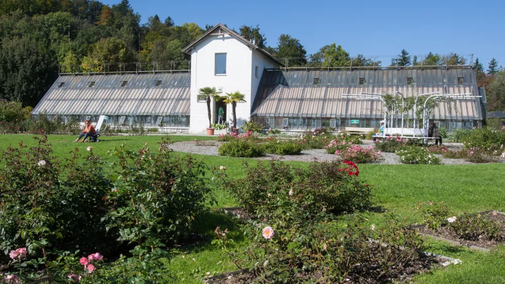 ﻿Rastlinjak Tivoli- 05.10.2015 - Park Tivoli - Mednarodni fenološki vrt, ki je bil ustanovljen leta 1959 in sodi v mednarodno mrežo evropskih fenoloških vrtov in je edini tovrstni park v Sloveniji - proučevanje podnebnih sprememb in njihov vpliv na rastline - fenološka opazovanja -    //FOTO: Maja MarkoOPOMBA: ZA OBJAVO V PRILOGI – DNEVNIKOV OBJEKTIV - REPORTAŽA 2015