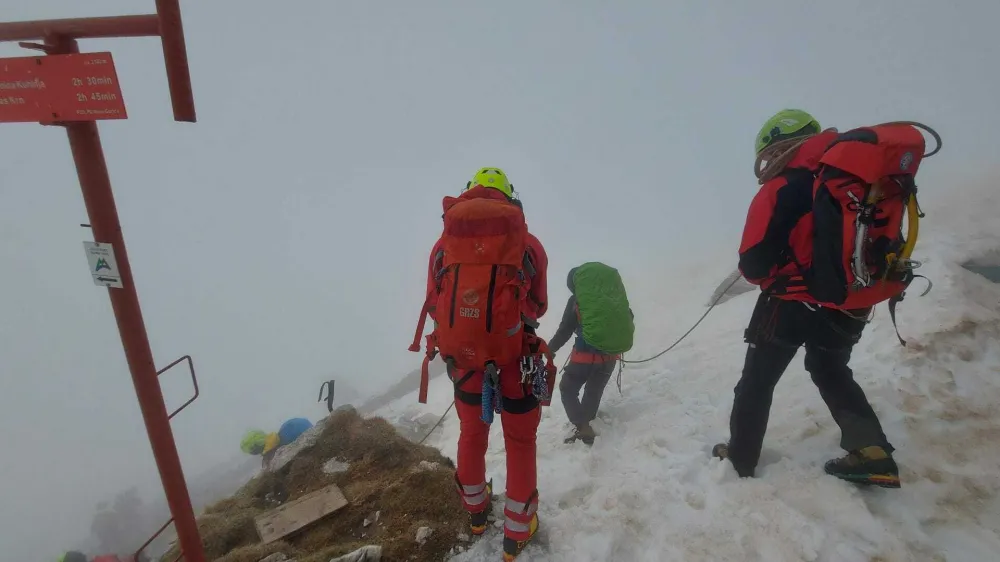 Gorski re&scaron;evalci so s Krna re&scaron;evali tri tuje planinke. 