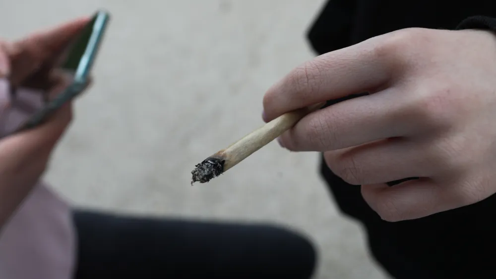 joint. - 18.04.2024. - Tradicionalni Marihuana marš 2024, ki ga organizira Študentska organizacija Univerze v Ljubljani. FOTO: Bojan Velikonja