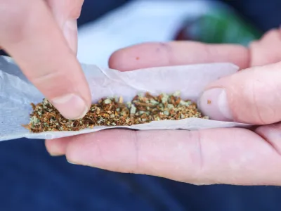 Po podatkih sekcije za klinično toksikologijo pri UKC Ljubljana je pri koncentraciji THC štiri nanograme na mililiter krvi sposobnost vožnje manjša za tretjino. 