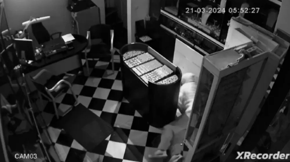 Posnetek varnostne kamere