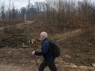- 27.02.2024 – Krajinski park Tivoli – sečnja oslabljenih in bolnih dreves na območju Podrožniške poti v Krajinskem parku Tivoli, Rožnik in Šišenski hrib //FOTO: Nik Erik Neubauer