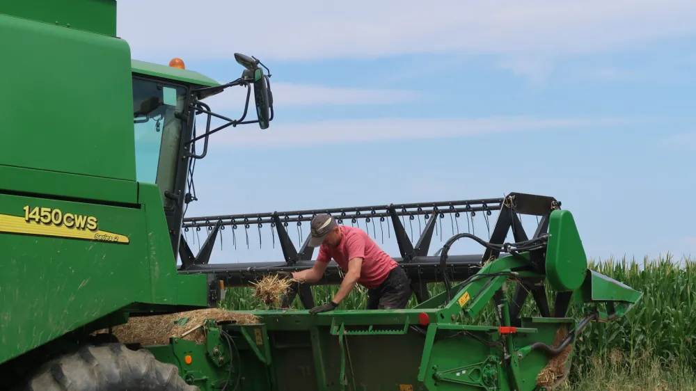 Pomurje, Lipovci, Panvita, žetev, ječmen, kombajn. Foto. Tatjana Pihlar 