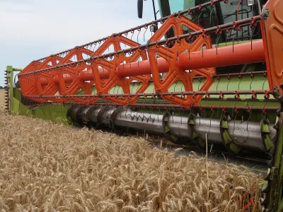 Pomurje, Rakičan, Panvita, žetev, pšenica, kombajn. Foto. Tatjana Pihlar 