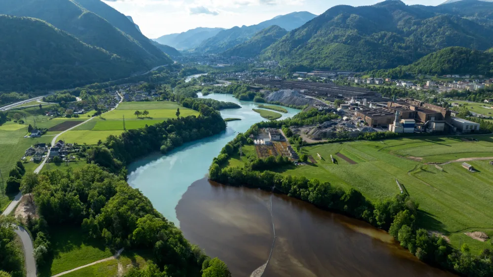 Sava Dolinka, onesnaženje z algami
