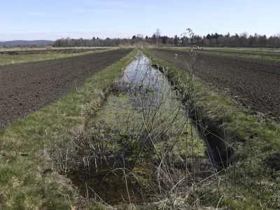 - 29.03.2023 - Ljubljansko barje -  //FOTO: Luka Cjuha