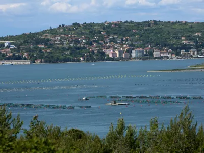 ﻿- Piranski zaliv - Školčišče - Kanegra - - 08.05.2017 - slovensko-hrvaška meja - reševanje mejnega spora med Slovenijo in Hrvaško - arbitražni sporazum za rešitev vprašanja meje s Hrvaško - arbitraža -//FOTO: Tomaž SkaleOPOMBA: REPORTAŽA 2017