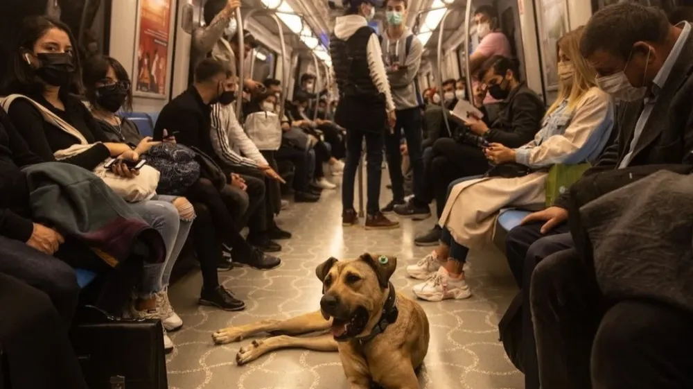 Boji med vožnjo z metrojem. F Instagram