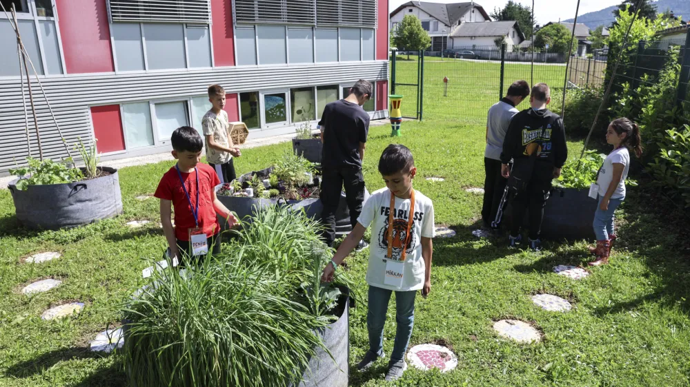 - 04.06.2024 - O&Scaron; Ka&scaron;elj  //FOTO: Jaka Gasar