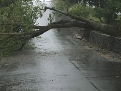 BRISBANE, AUSTRALIA - JANUARY 27: Trees fallen across road during tropical cyclone Oswald on January 27, 2013 in Brisbane, Australia