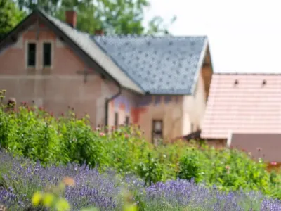 Ekološka zeliščna kmetij Vidov brejg