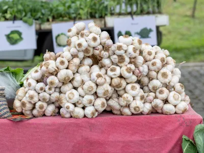 Fresh, vibrant produce at the market: a colorful array of nature's finest bounty.