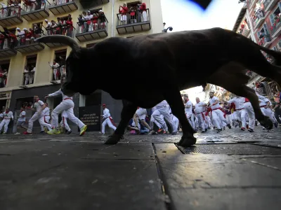 Revelers run with bulls from La Palmosilla ranch during the first day of the running of the bulls at the San Fermín fiestas in Pamplona, Spain, Sunday, July 7, 2024. People test their speed and bravery by dashing with six fighting bulls through the streets of the northern Spanish city of Pamplona. (AP Photo/Alvaro Barrientos)