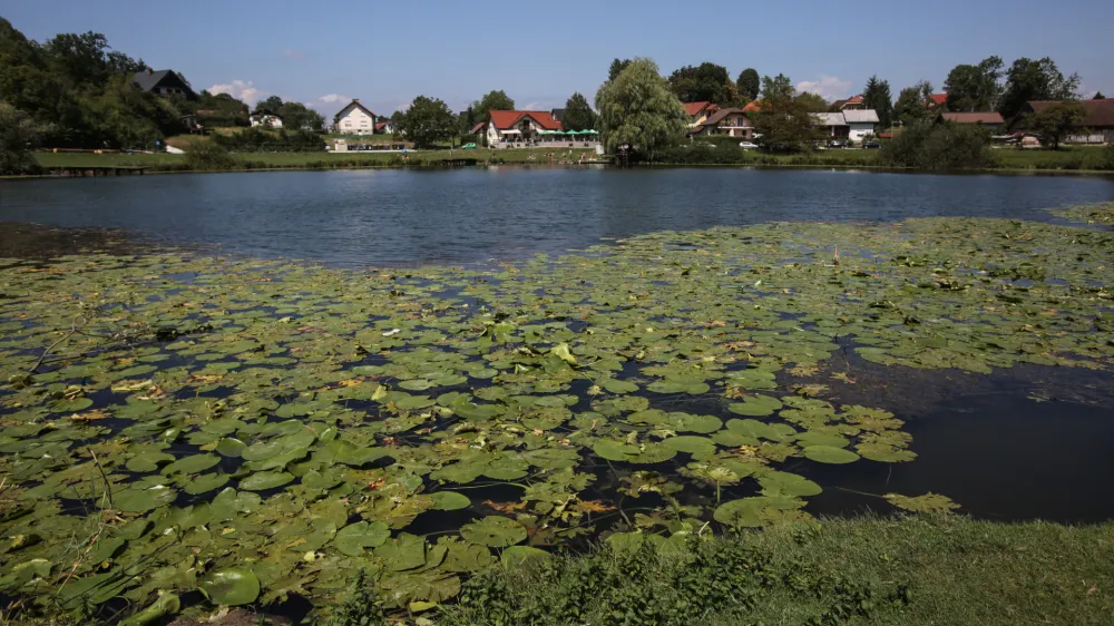 ﻿- 16.08.2016 - Podpeško jezero - Podpeč - poletje - naravno kopališče - kopalci kopanje - počitnice   //FOTO: Luka Cjuha.