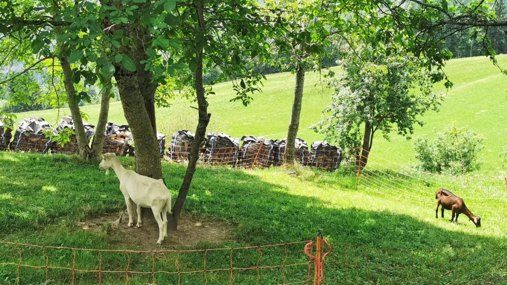 Pr' Andrejon / Foto: Miha First