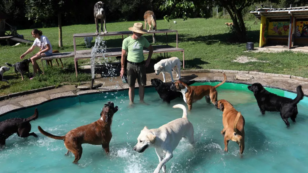V Pasjem hotelu in vrtcu je v poletnih mesecih poskrbljeno tudi za vodno zabavo.

&nbsp;

&nbsp;

&nbsp;