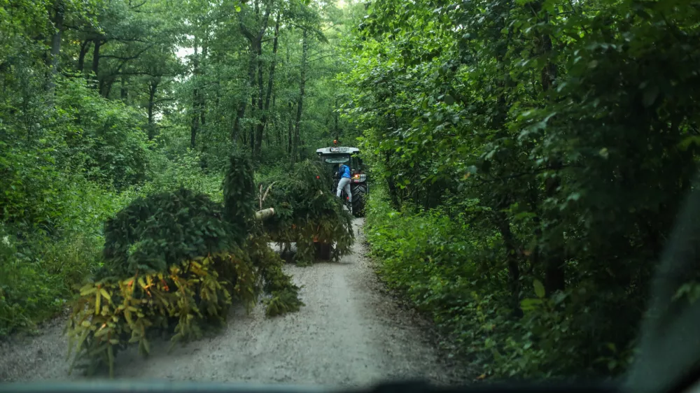 Mlaji 2024. OPOMBA ZA OBJAVO V OBJEKTIVU!!!//FOTO: Bojan Velikonja