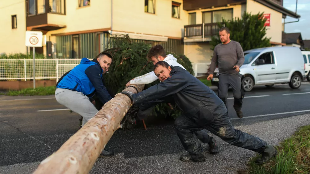 Mlaji 2024. OPOMBA ZA OBJAVO V OBJEKTIVU!!!//FOTO: Bojan Velikonja