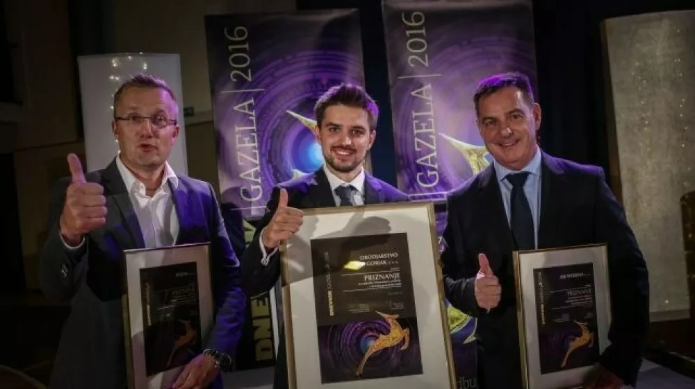 Nominirana podjetja za gazelo dravsko-pomurske regije so bila Reseda, ki jo vodi Damjan Habjanec, Orodjarstvo Gorjak, ki je bilo prepoznano za gazelo regije in za katero je priznanje prevzel Marko Gorjak, namestnik direktorja, ter Lek veterina, katerega direktor je Branko Kamen&scaron;ek (od leve proti desni). (Foto: Luka Cjuha)