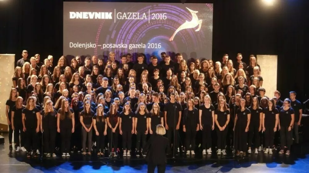 Rockovska simfonija Another Brick in the Wall, ki je nastala kot kritika rigidnim oblikam poučevanja v šolah, je v izvedbi profesorjev in dijakov štirih srednjih šol stresla telovadnico Šolskega centra Novo mesto in tudi misli marsikaterega udeleženca prireditve. (Foto: Bojan Velikonja)