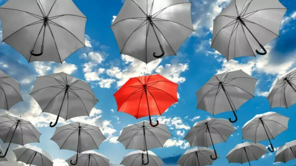 Mediji samomorov ne smejo zlorabljati za večjo gledanost ali obiskanost. Žal je tudi pri nas preveč primerov, ko ljudje delijo problematične prispevke o njih. Mladi, ženske in tisti, ki imajo stiske v duševnem zdravju, so za učinek posnemanja bolj dojemljivi, opozarja Vita Poštuvan. Učinek posnemanja pomeni, da poročanje o samomorih vpliva na povečanje njihovega števila.