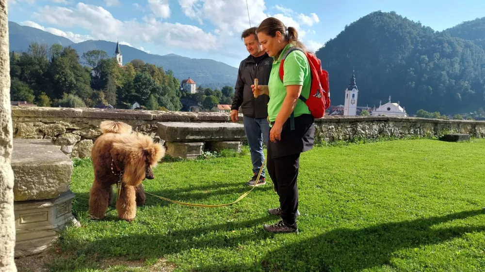 Kraljevi koder Joy se je odlično vživel v vlogo pasjega detektiva. Foto: Vesna Levičnik