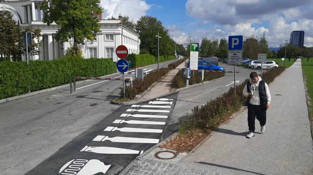 Prehod za pešce pri Plečnikovih Žalah je zasnoval Matija Kocbek. Foto: Luka Cjuha