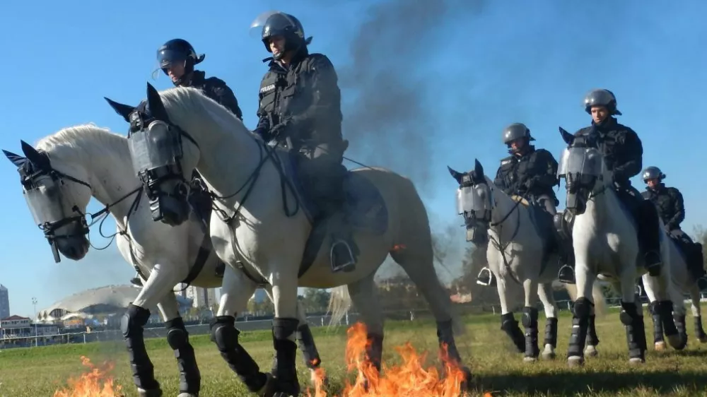 trening policijskih konj / Foto: Arhiv Pu Ljubljana