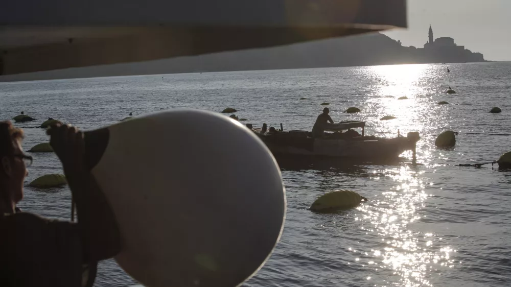 ﻿Strunjan - 08.09.2014 - IZOLA - Ribištvo Školjkarstvo Mitja Petrič s.p. - gojenje školjk - školjke klapavice in ladinke, nabiranje - školjčišče ///FOTO: Luka Cjuha OPOMBA: ZA OBJAVO V PRILOGI – DNEVNIKOV OBJEKTIV - REPORTAŽA 2014