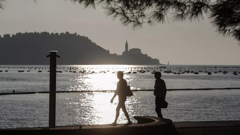﻿Strunjan - 08.09.2014 - IZOLA - Ribištvo Školjkarstvo Mitja Petrič s.p. - gojenje školjk - školjke klapavice in ladinke, nabiranje - školjčišče ///FOTO: Luka Cjuha OPOMBA: ZA OBJAVO V PRILOGI – DNEVNIKOV OBJEKTIV - REPORTAŽA 2014
