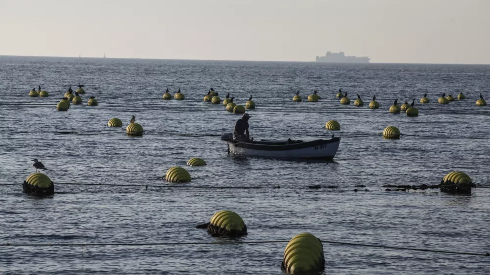 ﻿Strunjan - 08.09.2014 - IZOLA - Ribištvo Školjkarstvo Mitja Petrič s.p. - gojenje školjk - školjke klapavice in ladinke, nabiranje - školjčišče ///FOTO: Luka Cjuha OPOMBA: ZA OBJAVO V PRILOGI – DNEVNIKOV OBJEKTIV - REPORTAŽA 2014