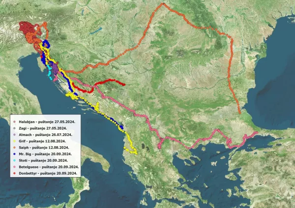 Pot, ki so jo opravili izpu&scaron;čeni jastrebi. Vir: zaveti&scaron;če Beli 
