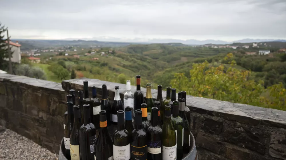 - 10.11.2022 &ndash;Vinoteka brda, &Scaron;martno //FOTO: Nik Erik Neubauer 