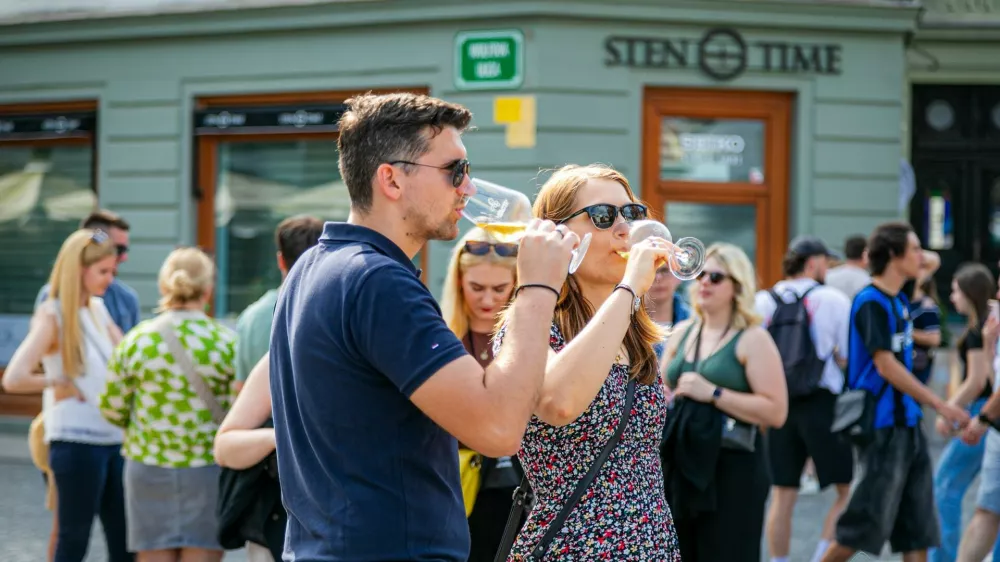 Na vinski poti, ki se tokrat razprostira med številnimi stojnicami na Prešernovem trgu, Mestnem trgu, Stritarjevi ulici in Cankarjevem nabrežju bo na voljo veliko domačih in tujih vrhunskih vinarjev z več kot 400 vinskimi vzorci in številni kulinariki. 