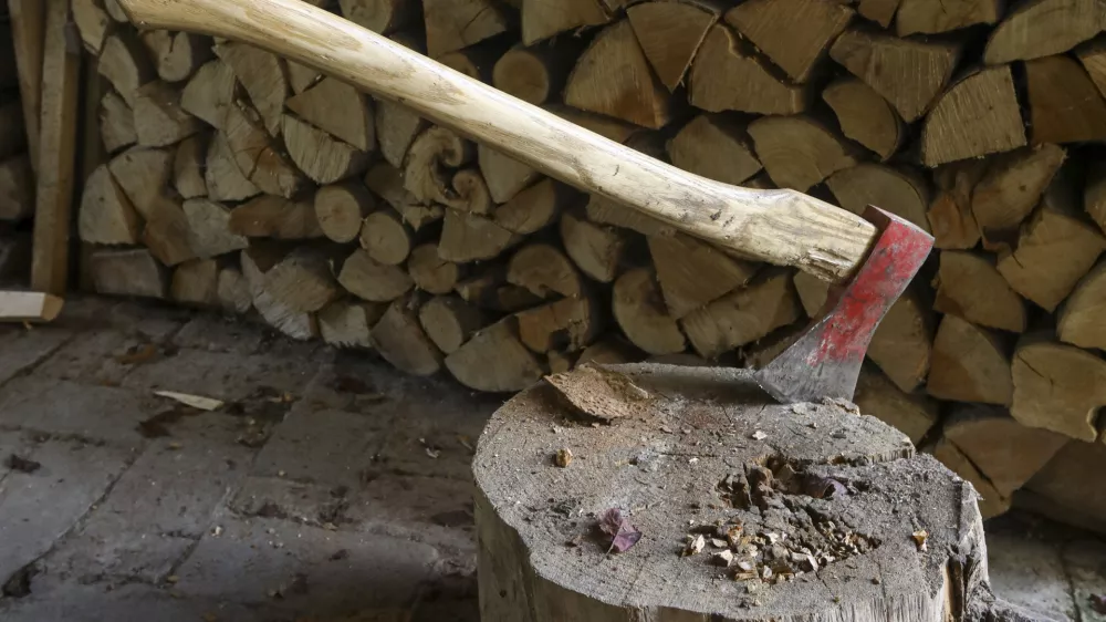 - drva &ndash; polena &ndash; sekanci - les - sekira- 16.10.2023 &ndash; simbolična fotografija &ndash; kurilna sezona - ogrevanje &ndash; kurjava - //FOTO: Luka Cjuha