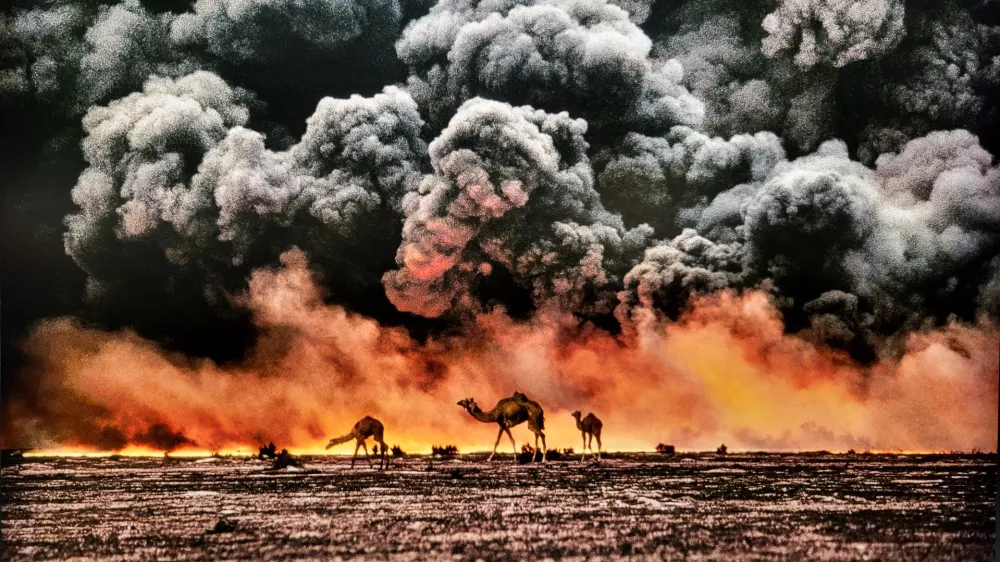 razstava steve mccurry trst / Foto: Katja Gle&scaron;čič 