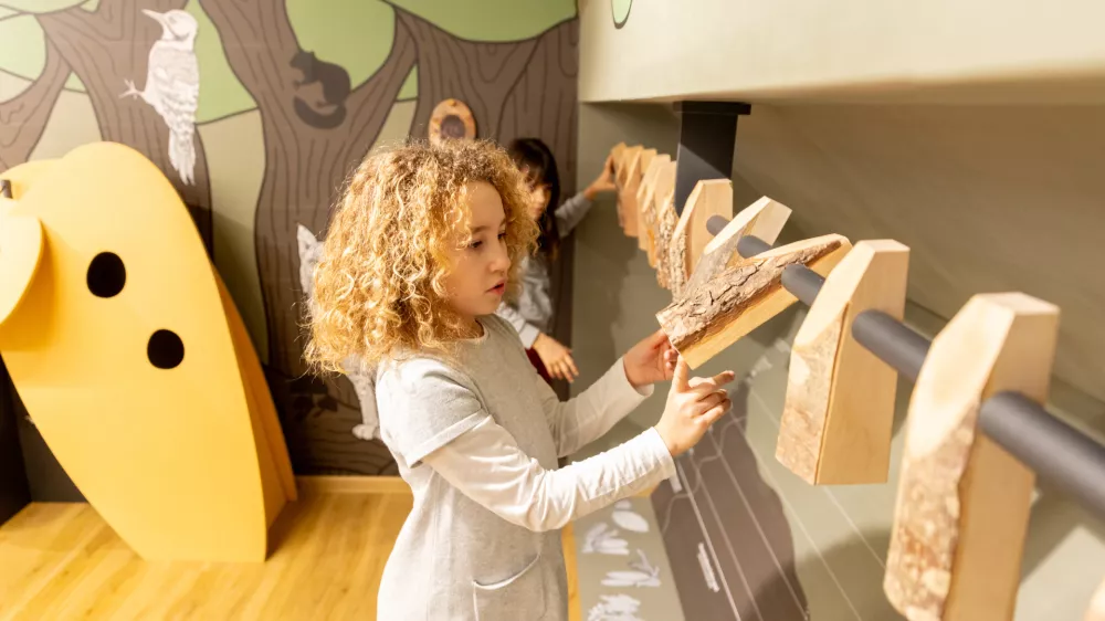 V Ekomuzeju Piv&scaron;kih presihajočih jezer vabijo ne le k ogledu, ampak tudi k dotikanju, poslu&scaron;anju in vonjanju razstavljenih eksponatov. Foto: Valter Leban / Foto: Valter Leban