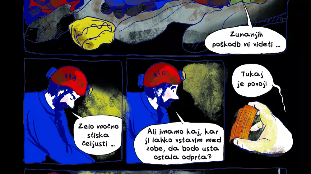 V reševanje, ki je steko takoj in ga je z zadržanim dihom spremljala vsa Slovenija, so se vključili vsi: jamarji, civilna zaščita, gasilci, taborniki, zdravstvena ekipa.
F VigeVageKnjige