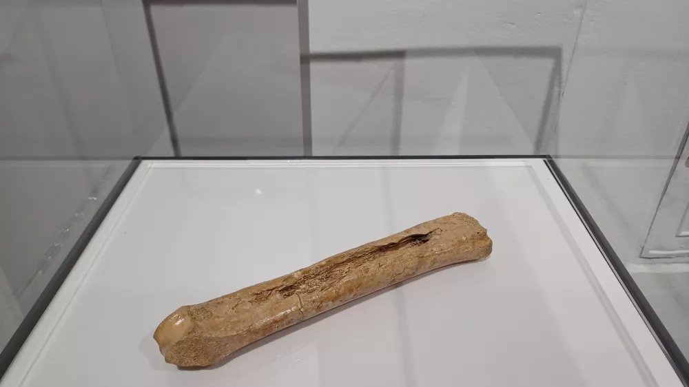 Ko&scaron;čene drsalke so do konca 19. stoletja uporabljali za &scaron;port in zabavo pa tudi za premikanje za zaledenelih povr&scaron;inah. Foto: Tina Jereb