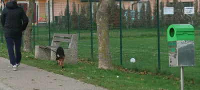 Tudi v nekaterih romskih naseljih (fotografija je s Pušče pri Murski Soboti) so lastniki psov odgovorni. Vodijo jih na povodcu, njihove iztrebke pa odlagajo v posebej za to nameščene koše. Foto: Tatjana Pihlar