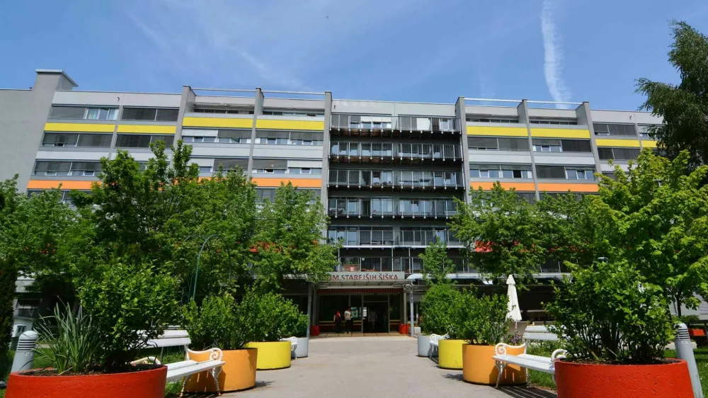 DSO Ljubljana &Scaron;i&scaron;ka