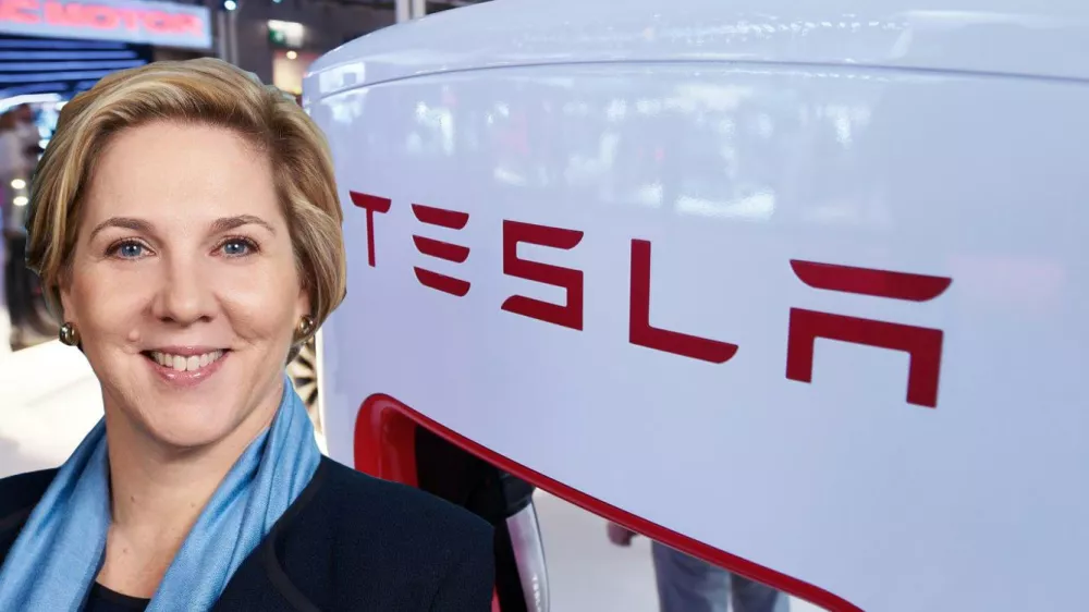 ﻿robyn denholm, tesla