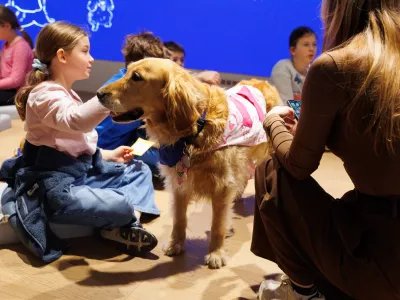 Na nekaterih ljubljanskih šolah imajo redne obiske terapevtskih psov, tako da se otroci že v šoli naučijo pravilnega ravnanja z živaljo. Foto: Nejc Lasič