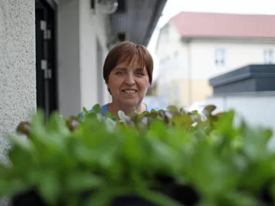 Težko je pridelati ar semena solate, a še težje je to količino semena prodati, pravi Fanči Perdih. / Foto: Bojan Velikonja