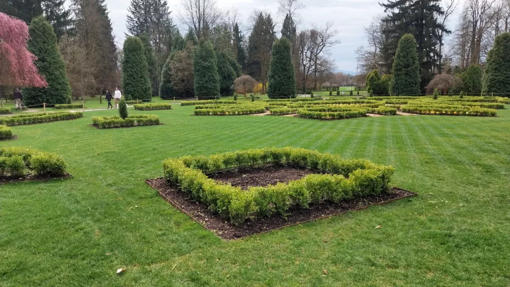 V francoski vrt so na novo posadili povsem novo sorto pušpana, odporno na pušpanov ožig. Foto: Vesna Levičnik